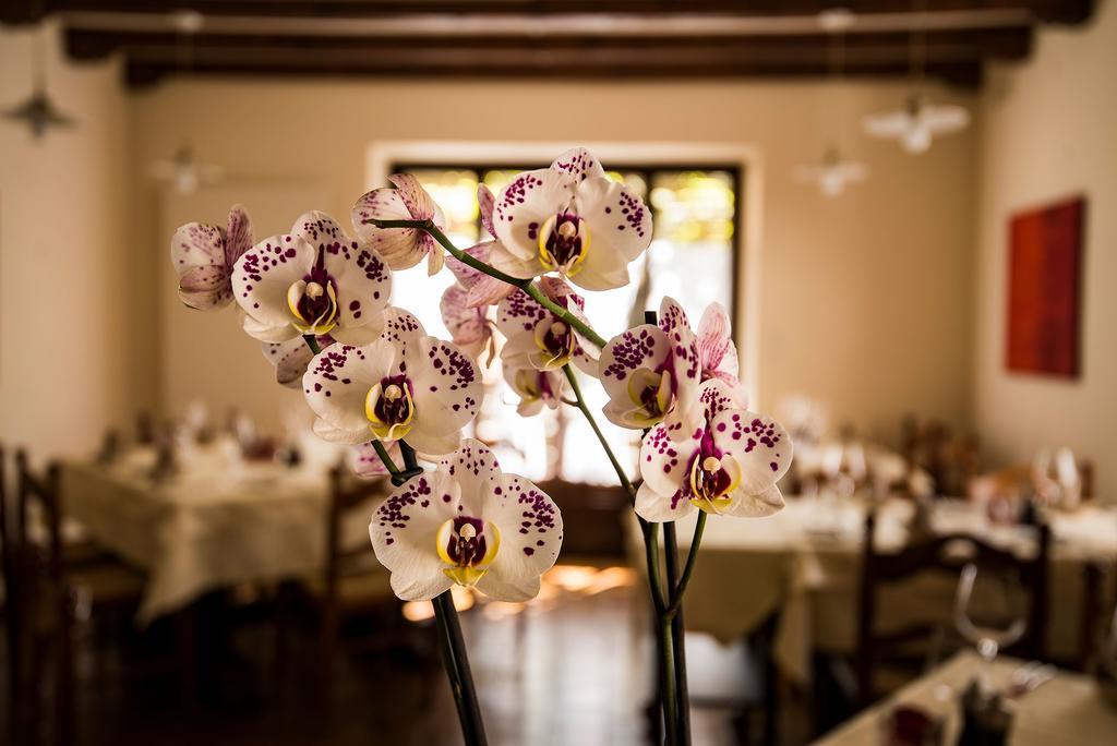 Bedano Charme Hotel Osteria Carletti מראה חיצוני תמונה